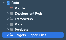 Структура папок в проекте Pods