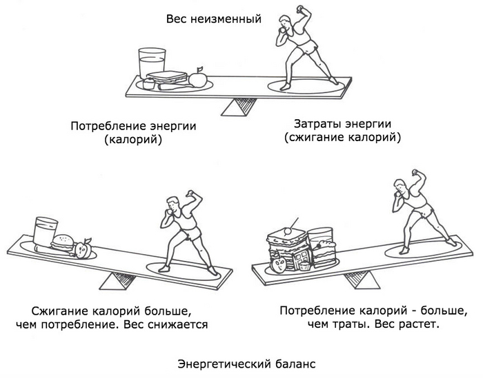 Можно ли стать толще в дефиците энергии или стройнее в профиците? И почему картинка на постере — полный бред? - 1