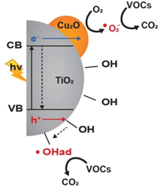 Рисунок 10. Схема воздействия УФ на катализатор. Оно приводит к освобождению нескольких форм кислорода, который разрывает VOC вплоть до воды и углекислого газа. Источник 