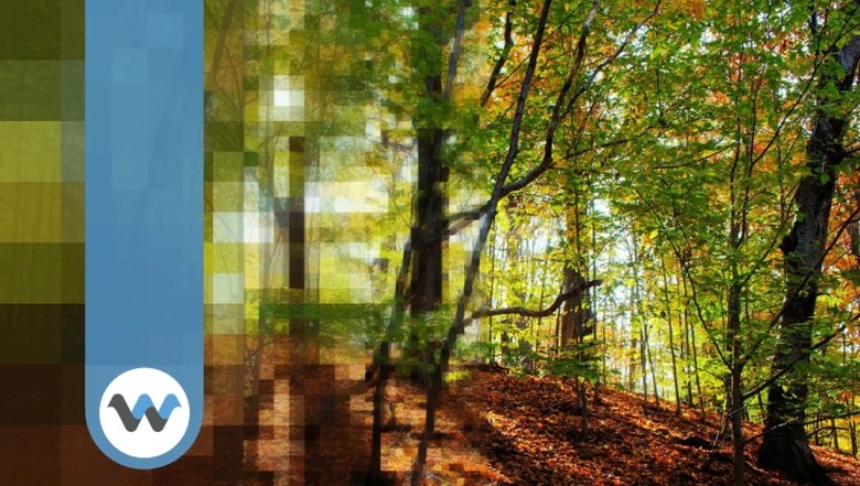 Кодеки новой эпохи: HEVC, AV1, VVC и нейросети - 11 Кодеки новой эпохи: HEVC, AV1, VVC и нейросети - 11