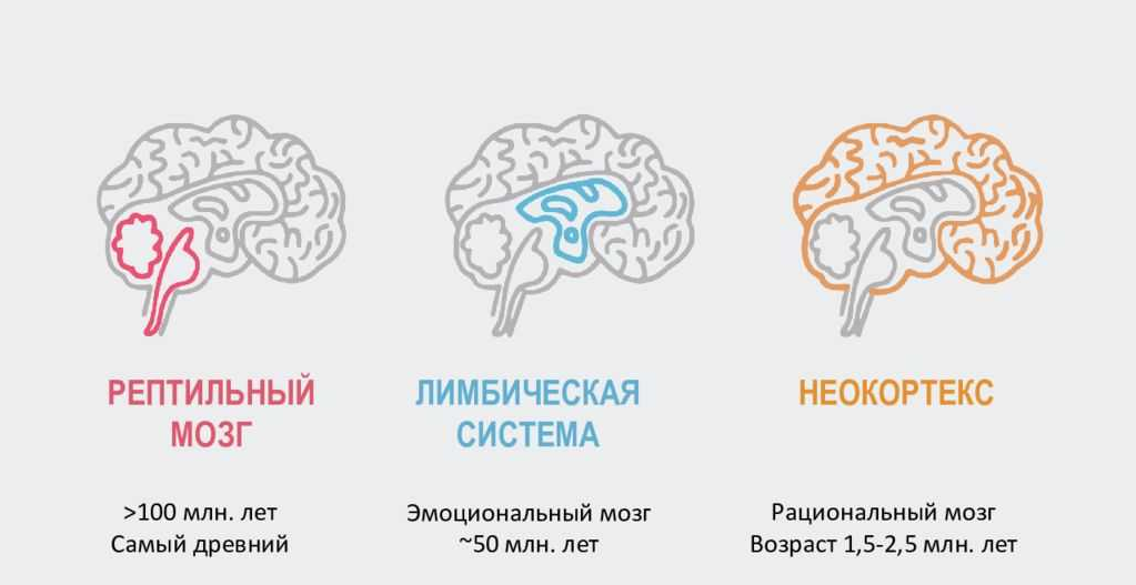 Сны разума: что общего у сновидений с работой нейросетей? - 11