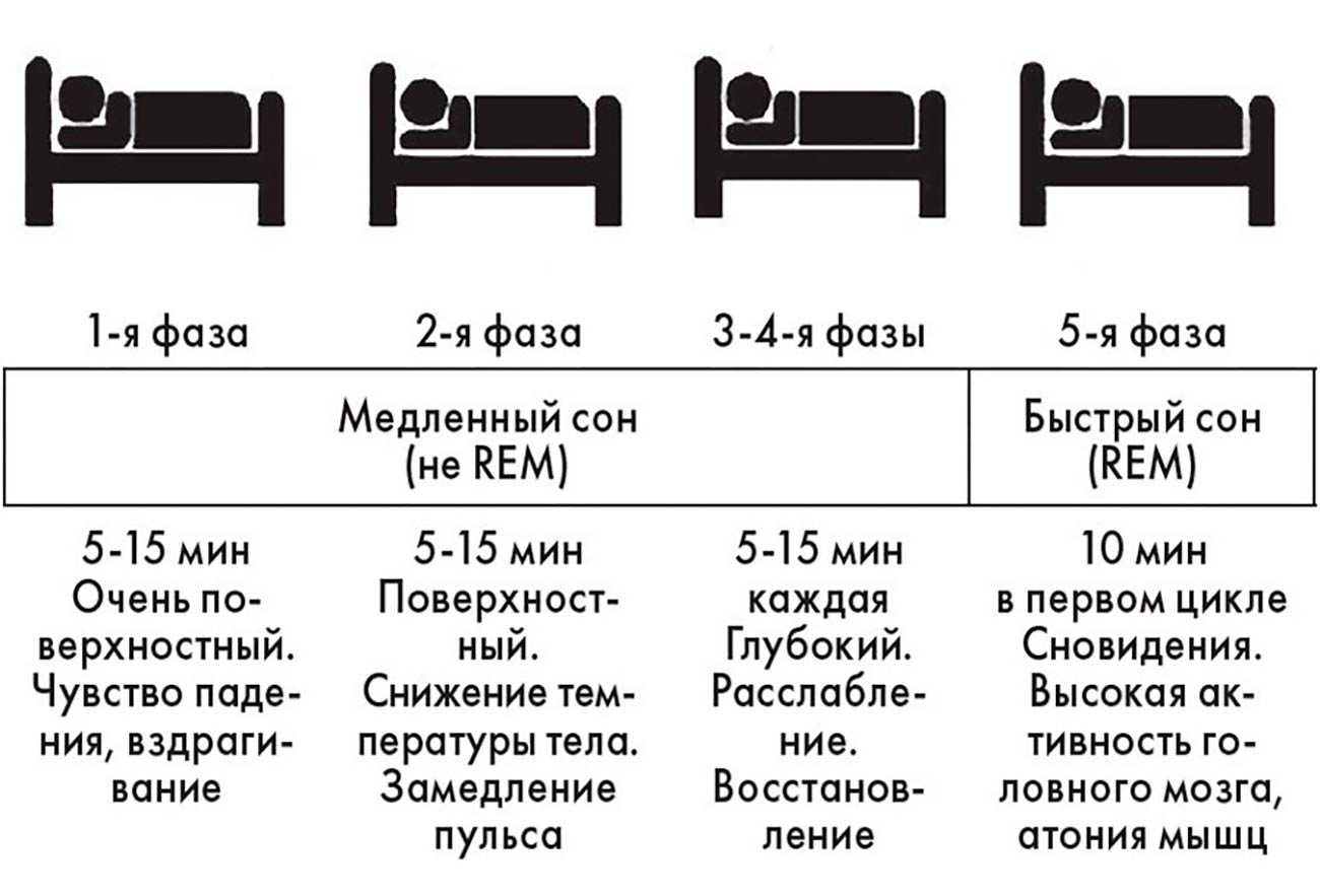 Сны разума: что общего у сновидений с работой нейросетей? - 4