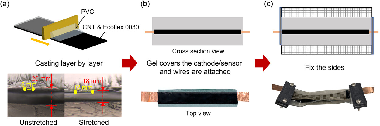 Мышцы для роботов: новый тип искусственных мышц с регулируемой жесткостью и датчиками деформации - 3 Мышцы для роботов: новый тип искусственных мышц с регулируемой жесткостью и датчиками деформации - 3