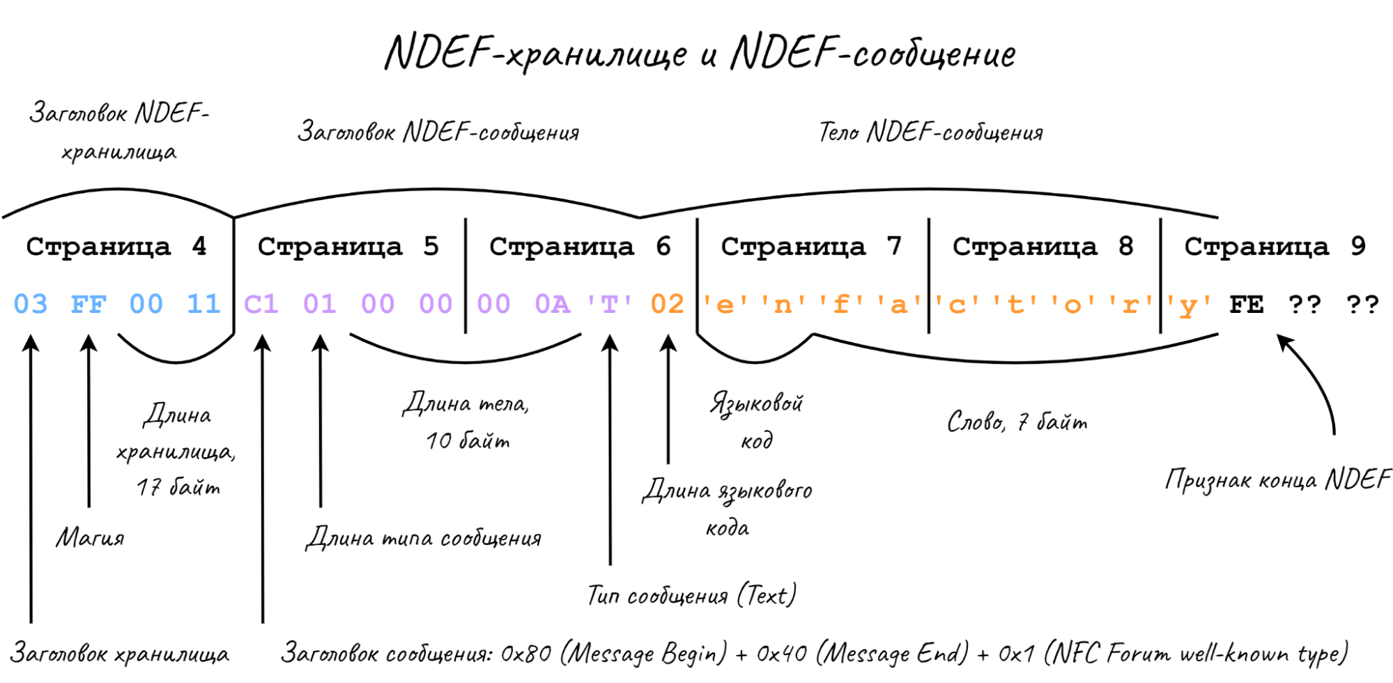 NFC-крокодил: продвинутая разработка под Flipper Zero - 9