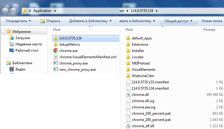 Обзор файлов internet-браузера Google Chrome 114.0.5735.134 Обзор файлов internet-браузера Google Chrome 114.0.5735.134