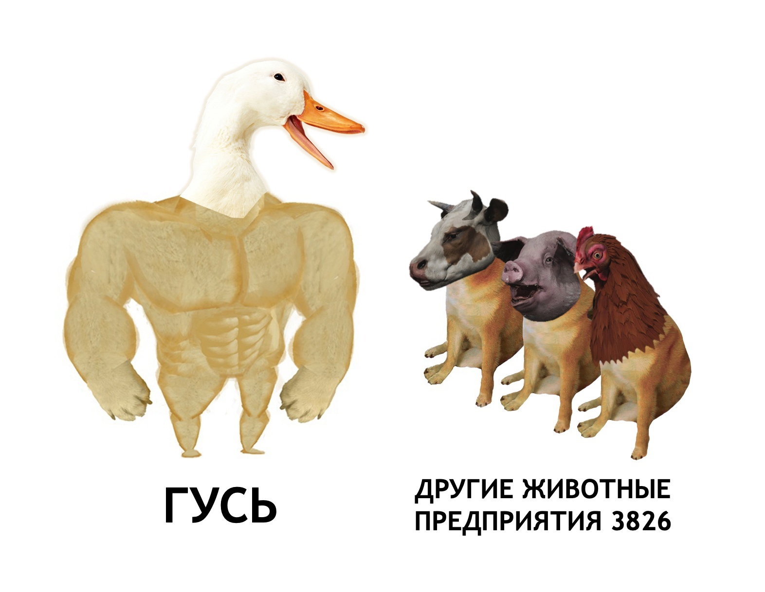 Куда посылает игроков Гусь-матерщинник из Atomic Heart? Краткий путеводитель по мемам и отсылкам - 27 Куда посылает игроков Гусь-матерщинник из Atomic Heart? Краткий путеводитель по мемам и отсылкам - 27