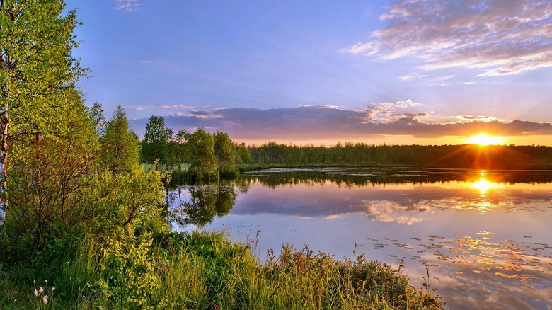 С помощью &laquo;Госуслуг&raquo; теперь можно получить бесплатный участок