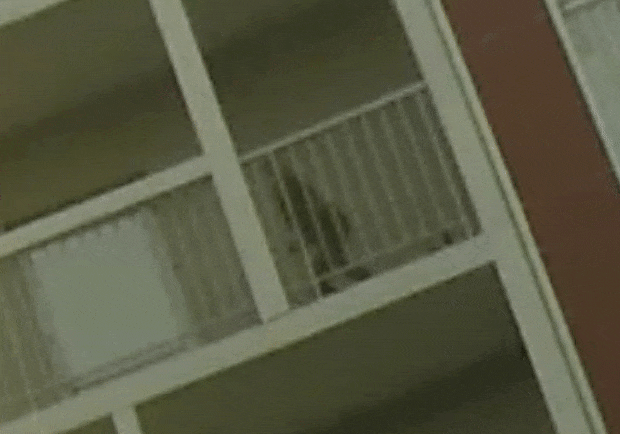 Я вижу как ты мусоришь со своего балкона - 15