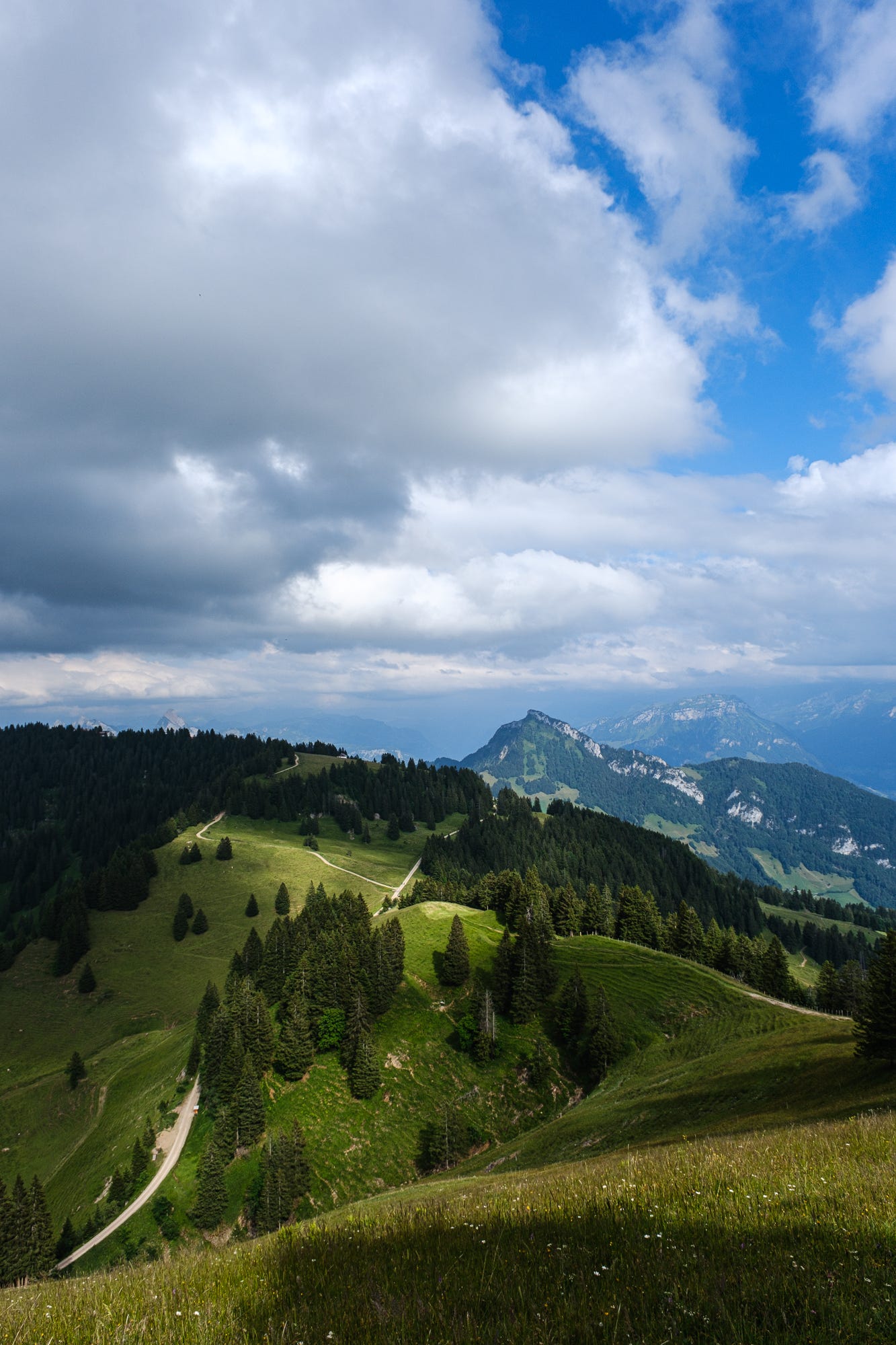 Photo of mountaines that I took this summer. This is a place on a hiking road from Rigi Kulm towards Kräbel Gondola station.