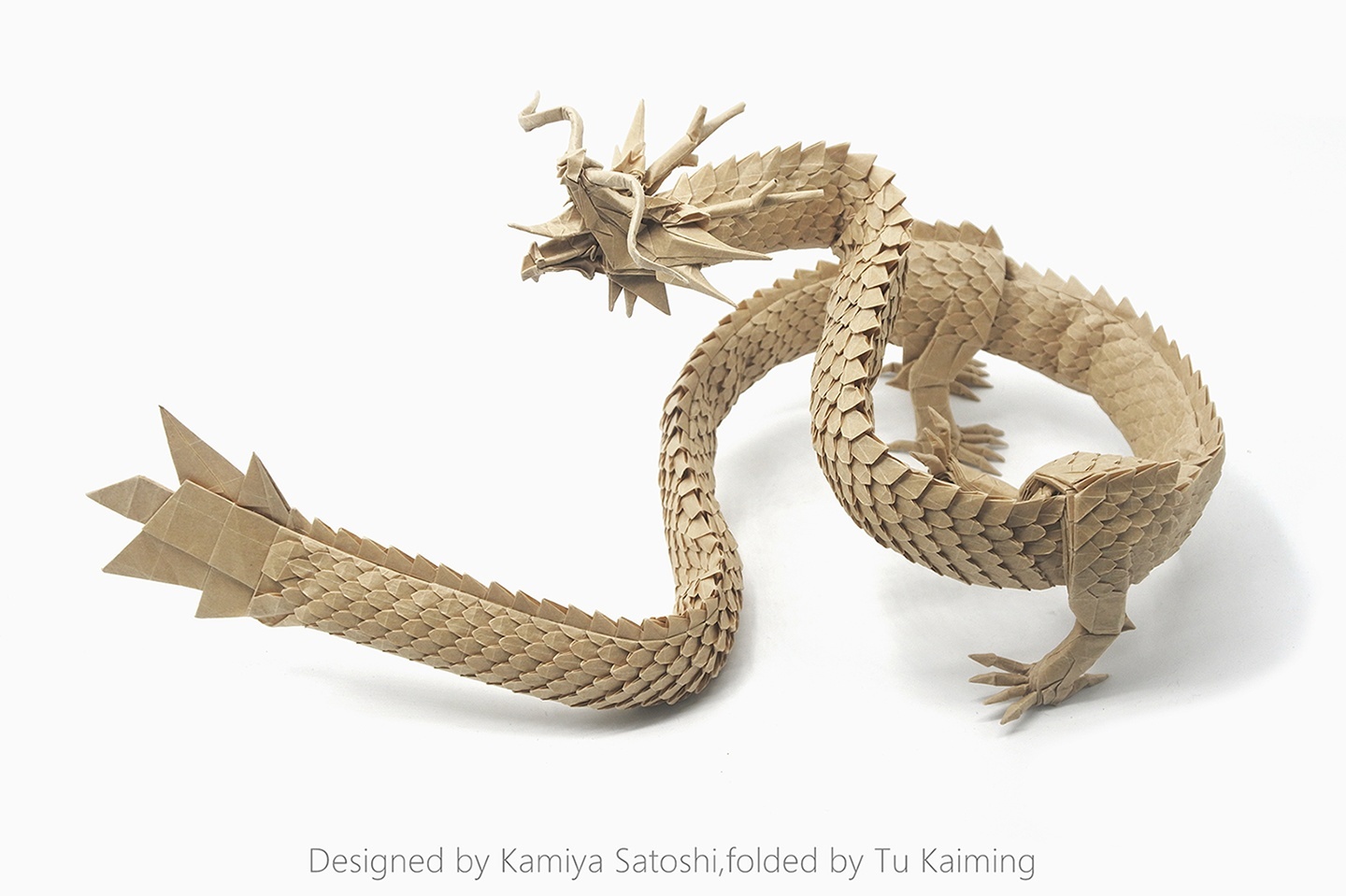 Рю Дзин3.5, дизайн Сатоши Камия, сложенный Ту Каймином