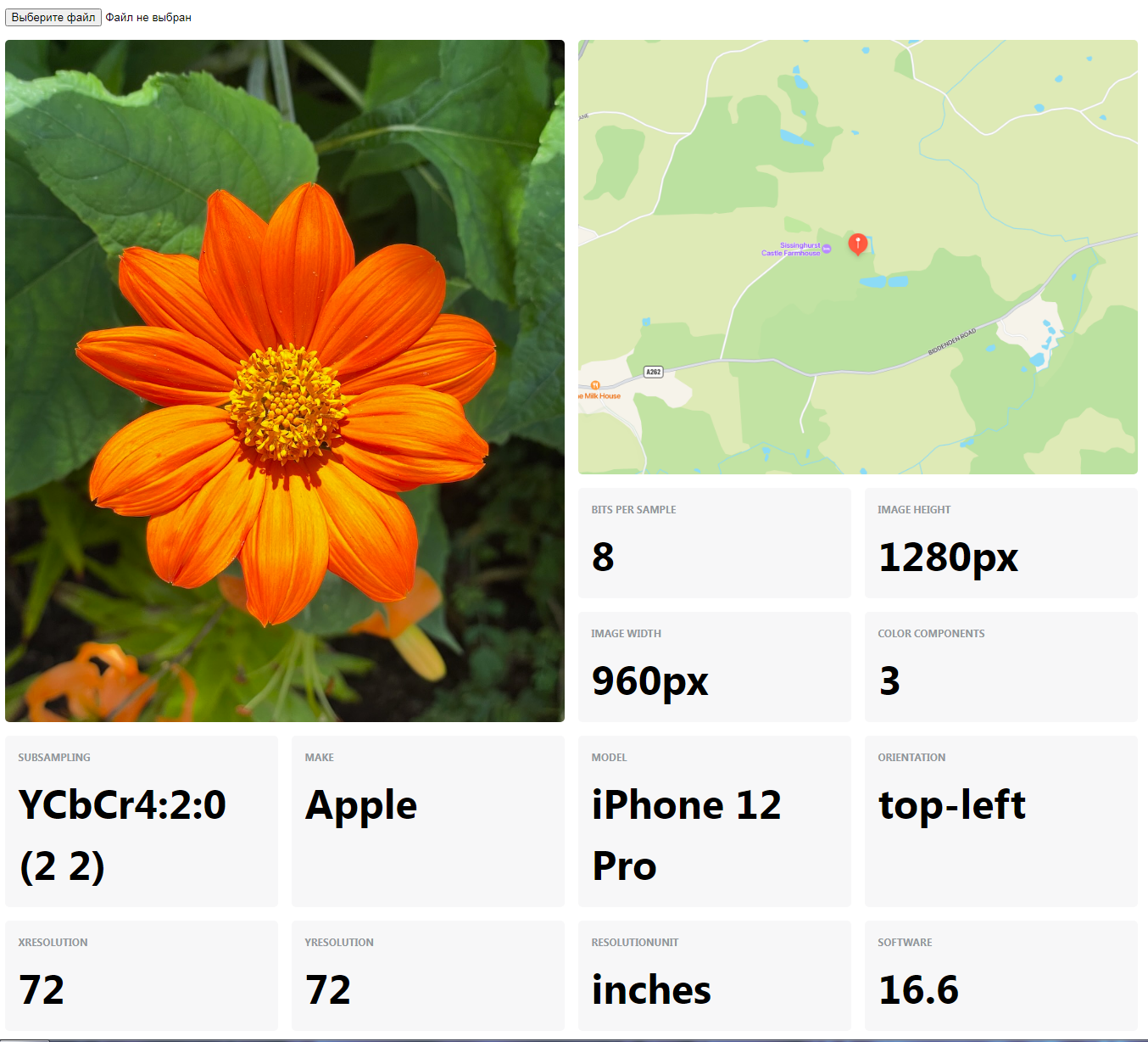 Разбираем формат EXIF на примере Apple Photos - 5