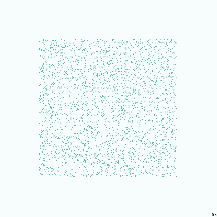 B3/S23/D/P | ×1.25, 25с., 237×237, 150×10%