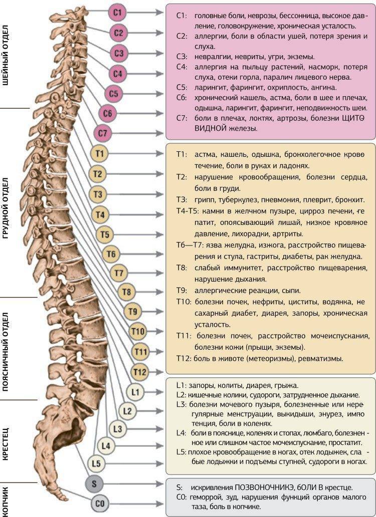 Описание проблем от позвонков