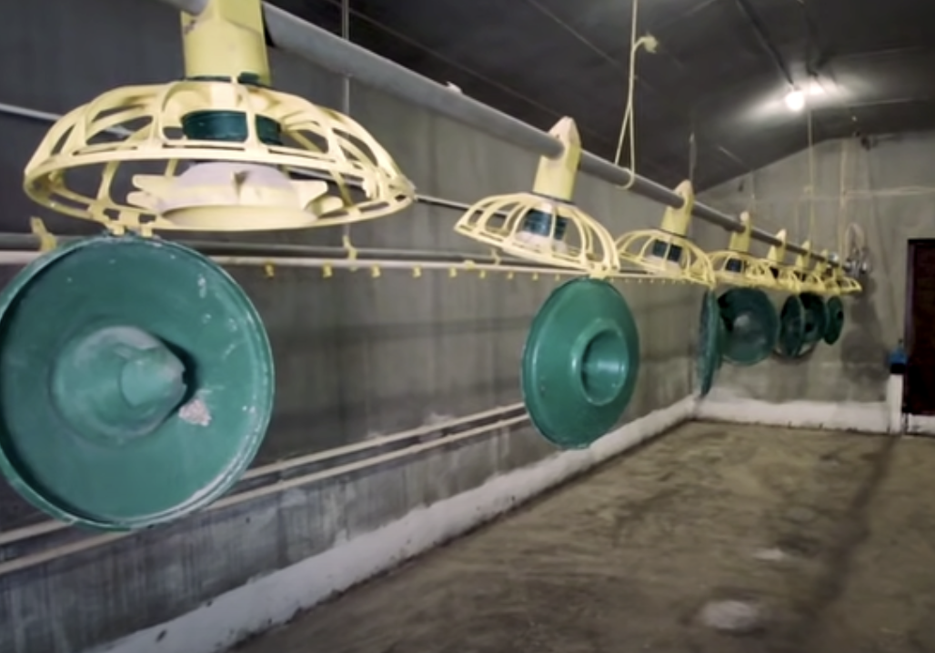 Как я потратил 250 миллионов в деревне - 16 Как я потратил 250 миллионов в деревне - 16