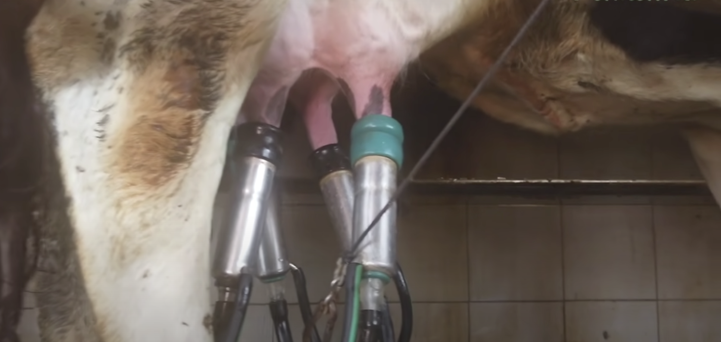 Как я потратил 250 миллионов в деревне - 6 Как я потратил 250 миллионов в деревне - 6