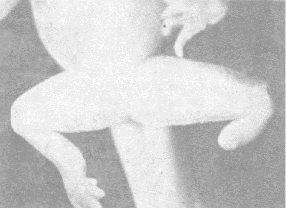 Про нашу регенерацию - 5 image