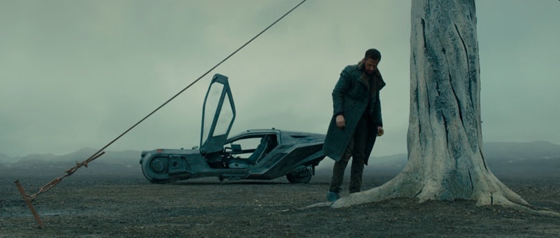 Blade Runner 2049 — это экранизация Набокова, изображение №16