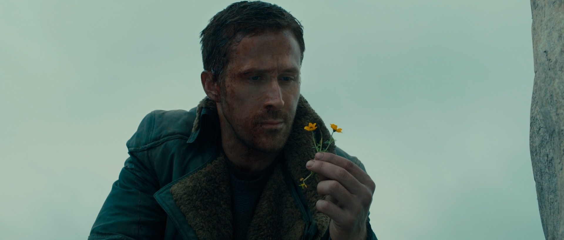 Blade Runner 2049 — это экранизация Набокова - 4 Blade Runner 2049 — это экранизация Набокова - 4