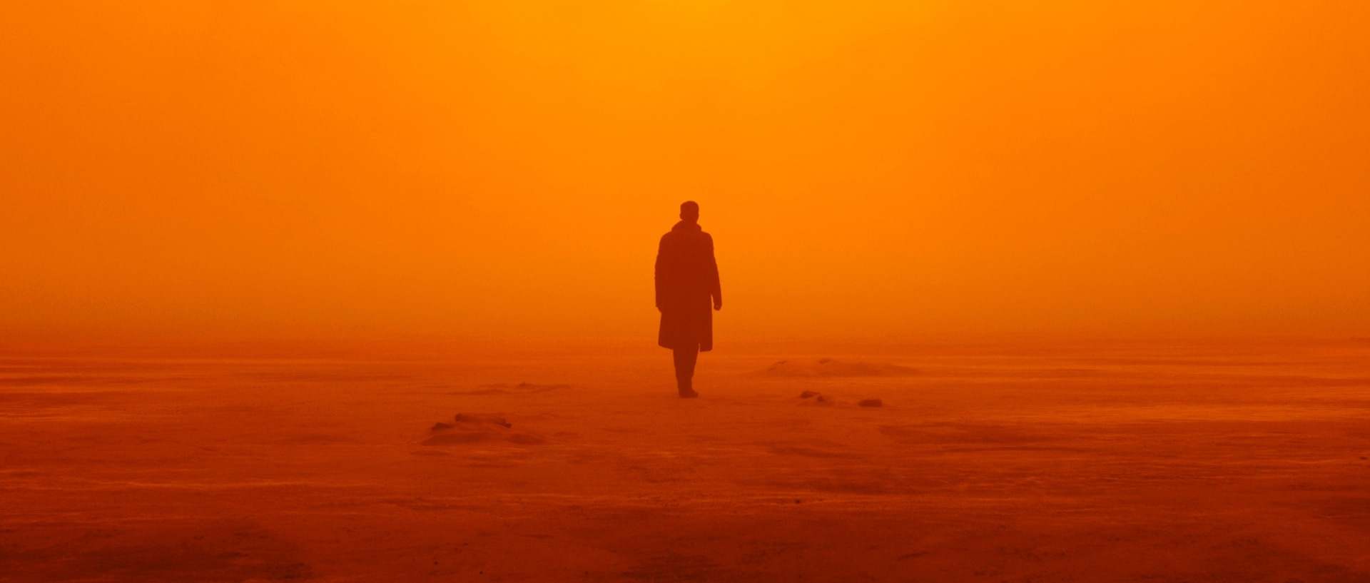 Blade Runner 2049 — это экранизация Набокова - 8