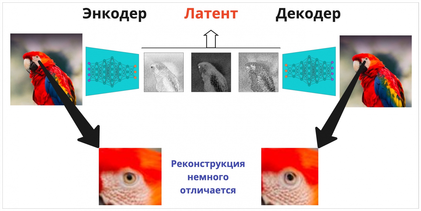 Латент может хранить некоторые очертания исходных наблюдений, но несёт совершенно другую информацию. Вместо указания на цвета пикселей там записан «смысл» региона фотографии. И так как латент имеет размерность меньше, чем исходная картинка, то реконструкция будет слегка отличаться (смотрите на зрачок).