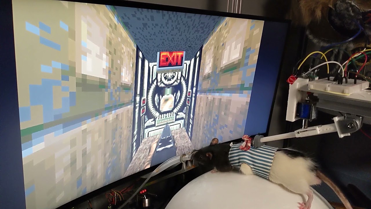 Мем, ставший легендой: Doom можно запустить на чем угодно - 13 Мем, ставший легендой: Doom можно запустить на чем угодно - 13