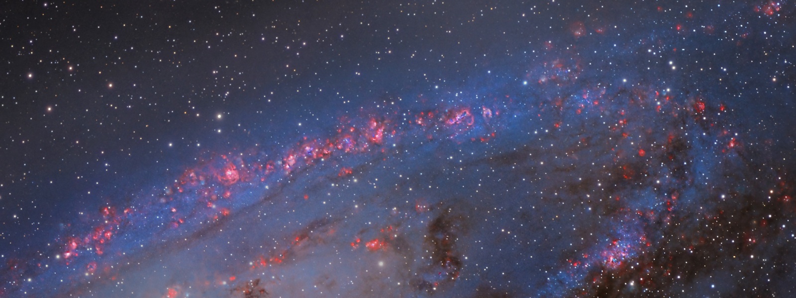Области звёздообразования в галактике Андромеды (подсвечены красным цветом ионизированного водорода — эти гигантские водородные туманности подобны широкоизвестной туманности Ориона). Автор астрофотоснимка Yann Sainty  
