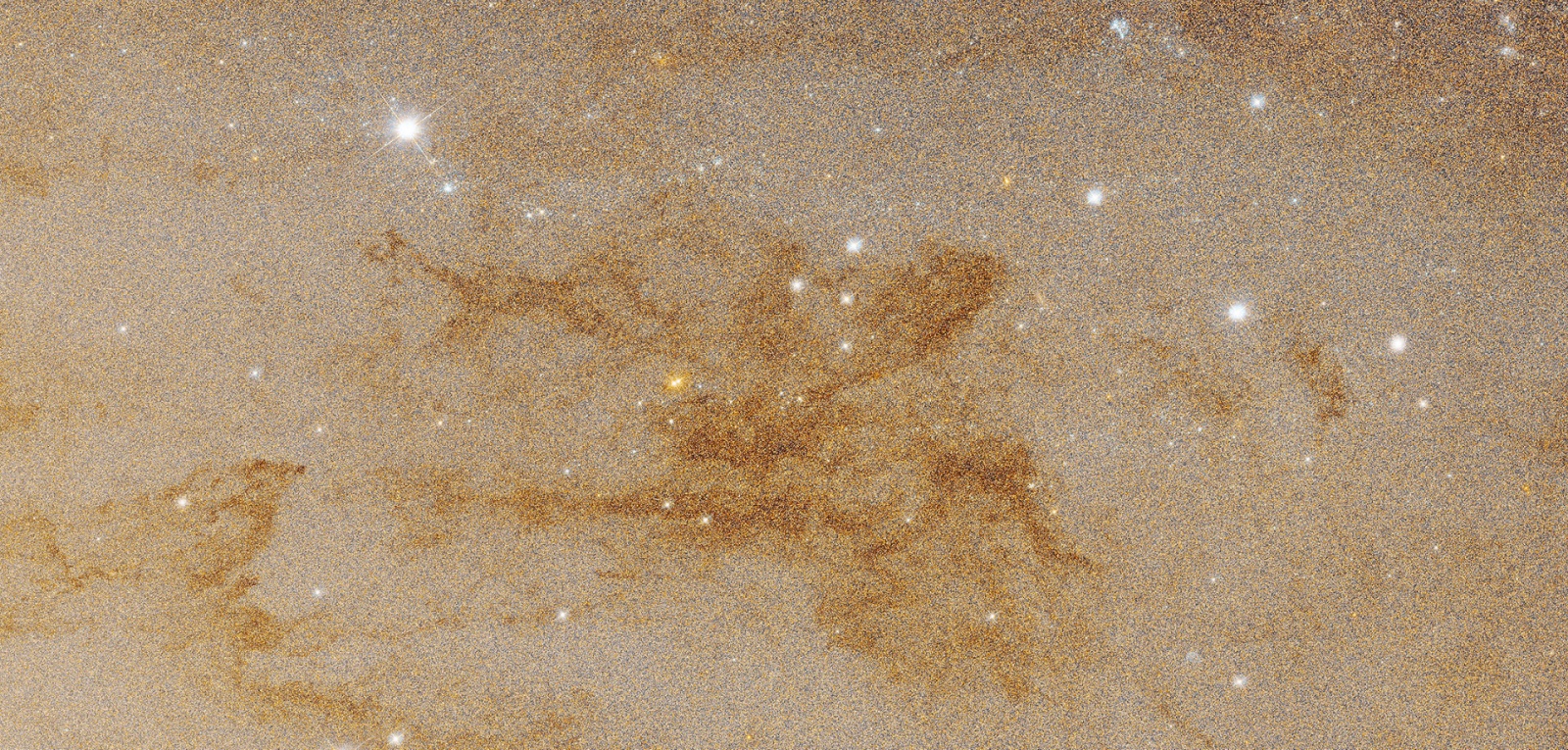 Фрагмент центрального региона галактики Андромеды. Снимок космического телескопа имени Эдвина Хаббла  