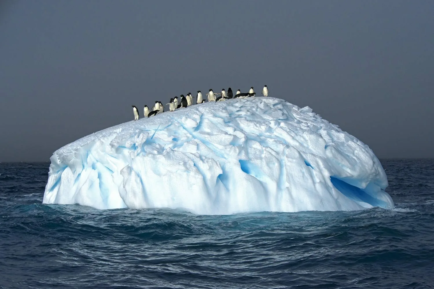 Не то, что кажется: 15 наивных вопросов об айсбергах + конкурс - 10