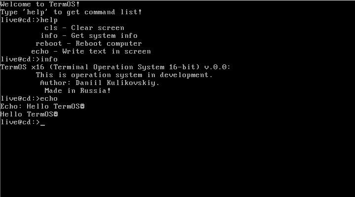 Получившаяся Операционная Система TermOS