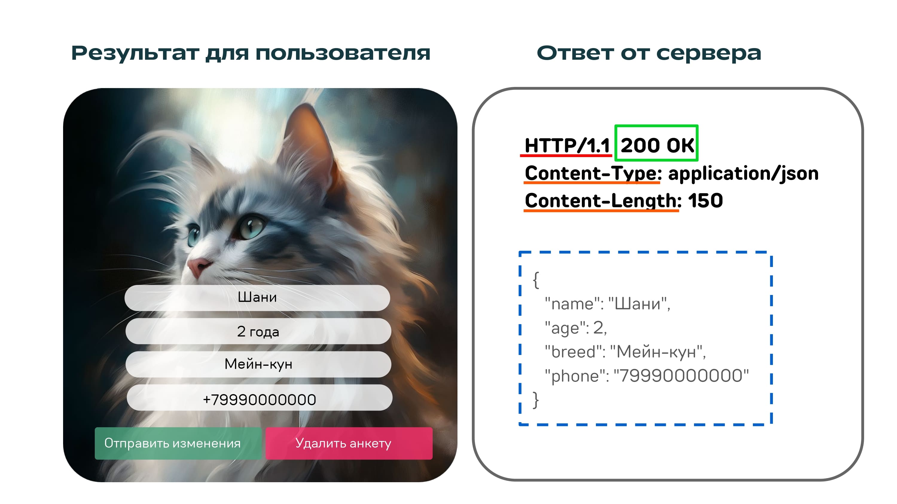 REST API на котиках - 10