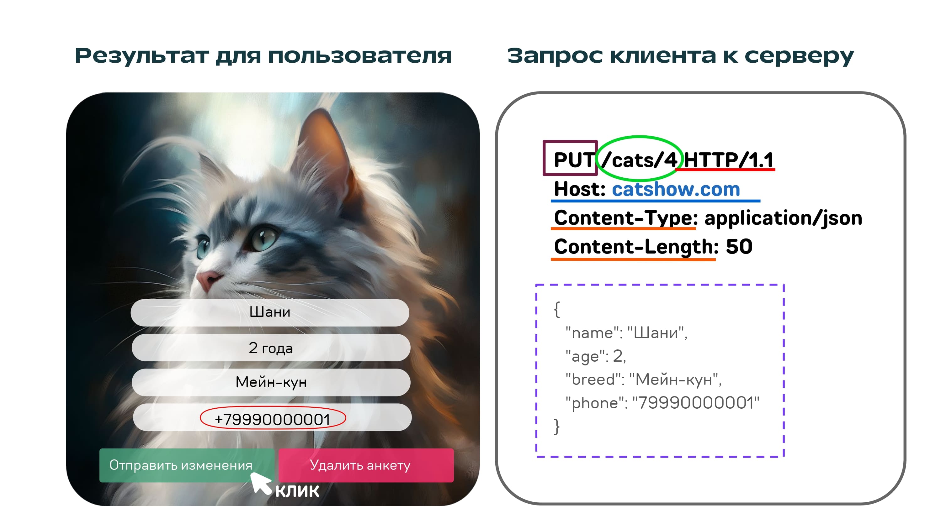 REST API на котиках - 11