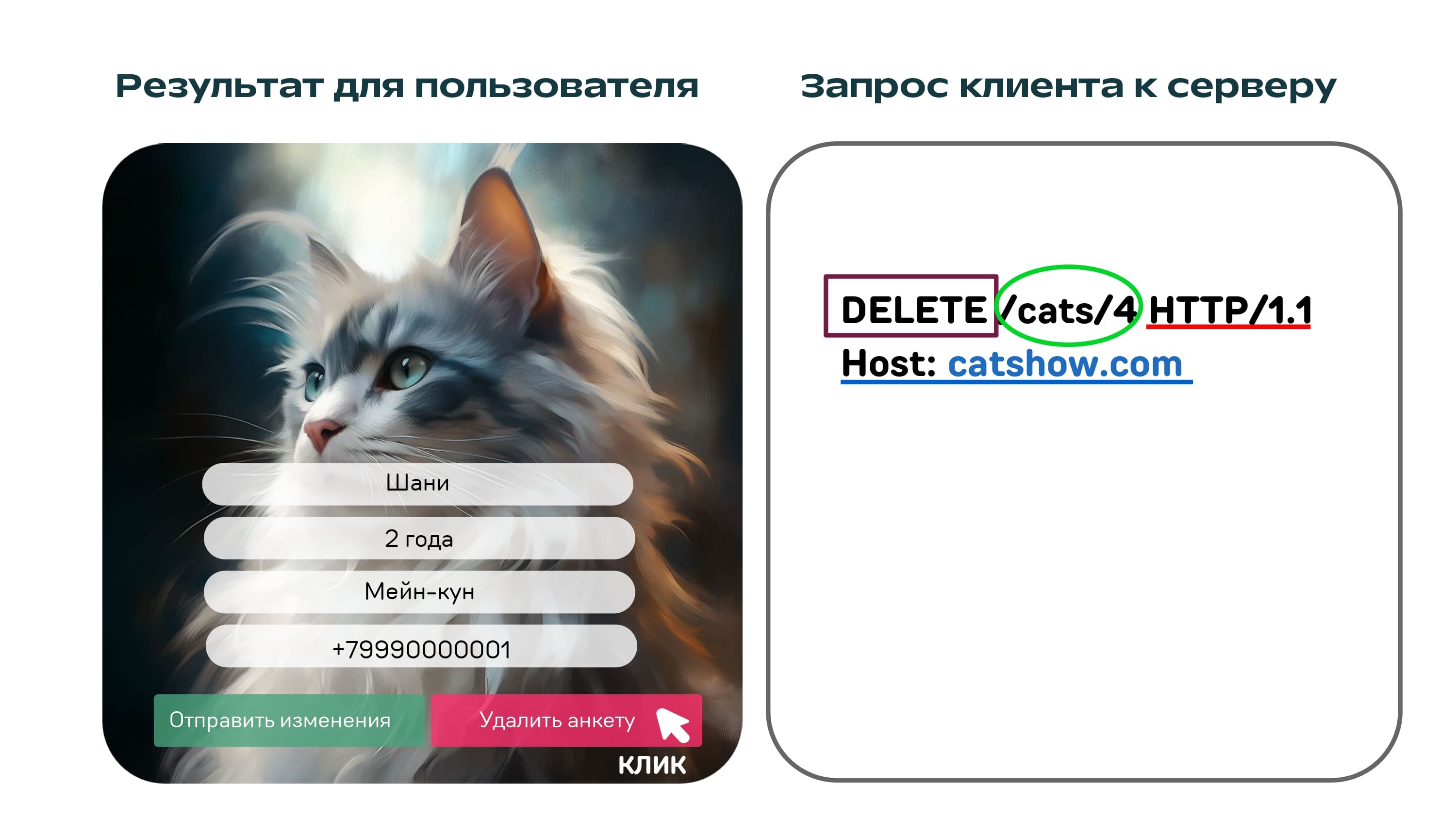 REST API на котиках - 13