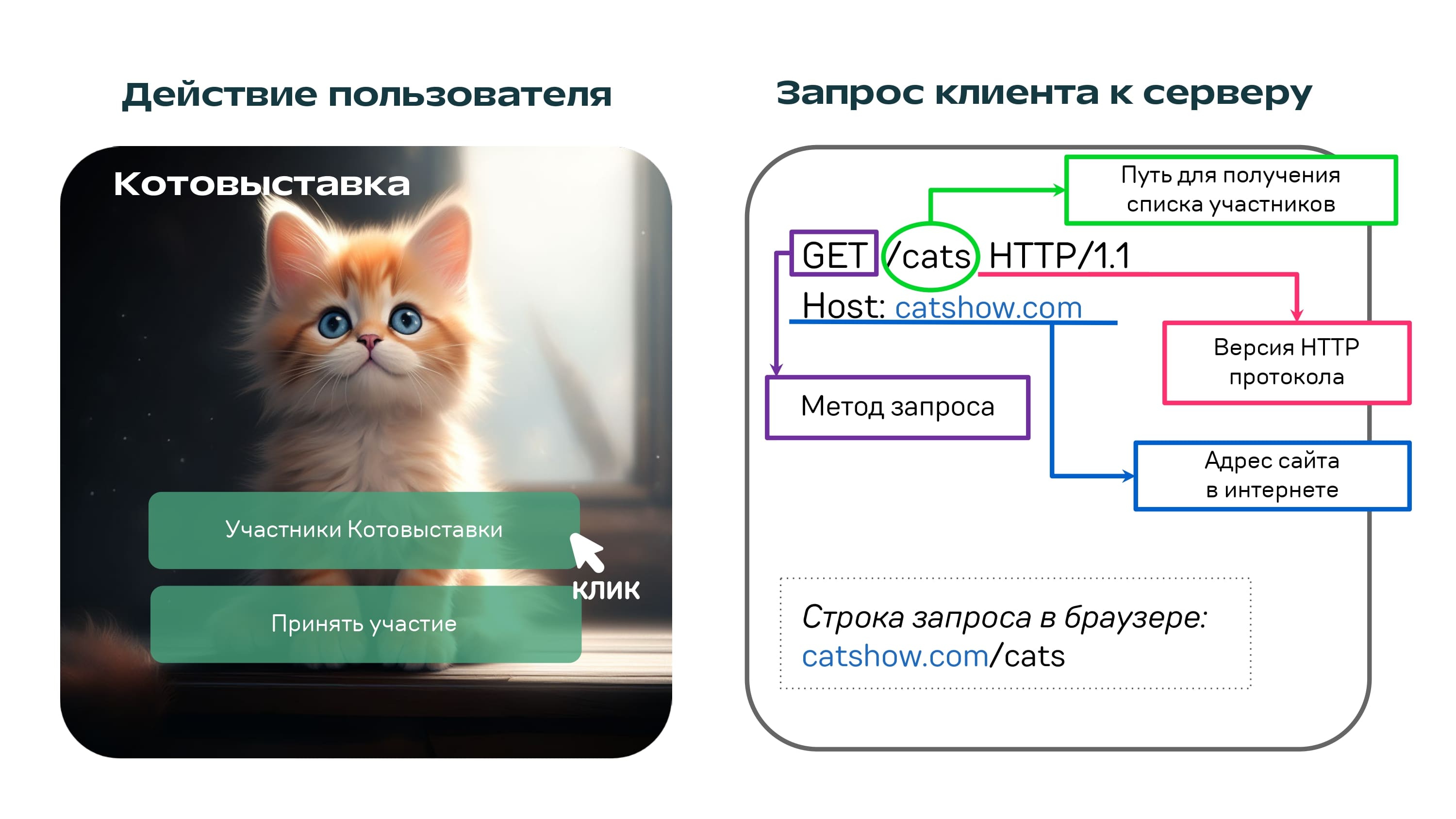REST API на котиках - 5