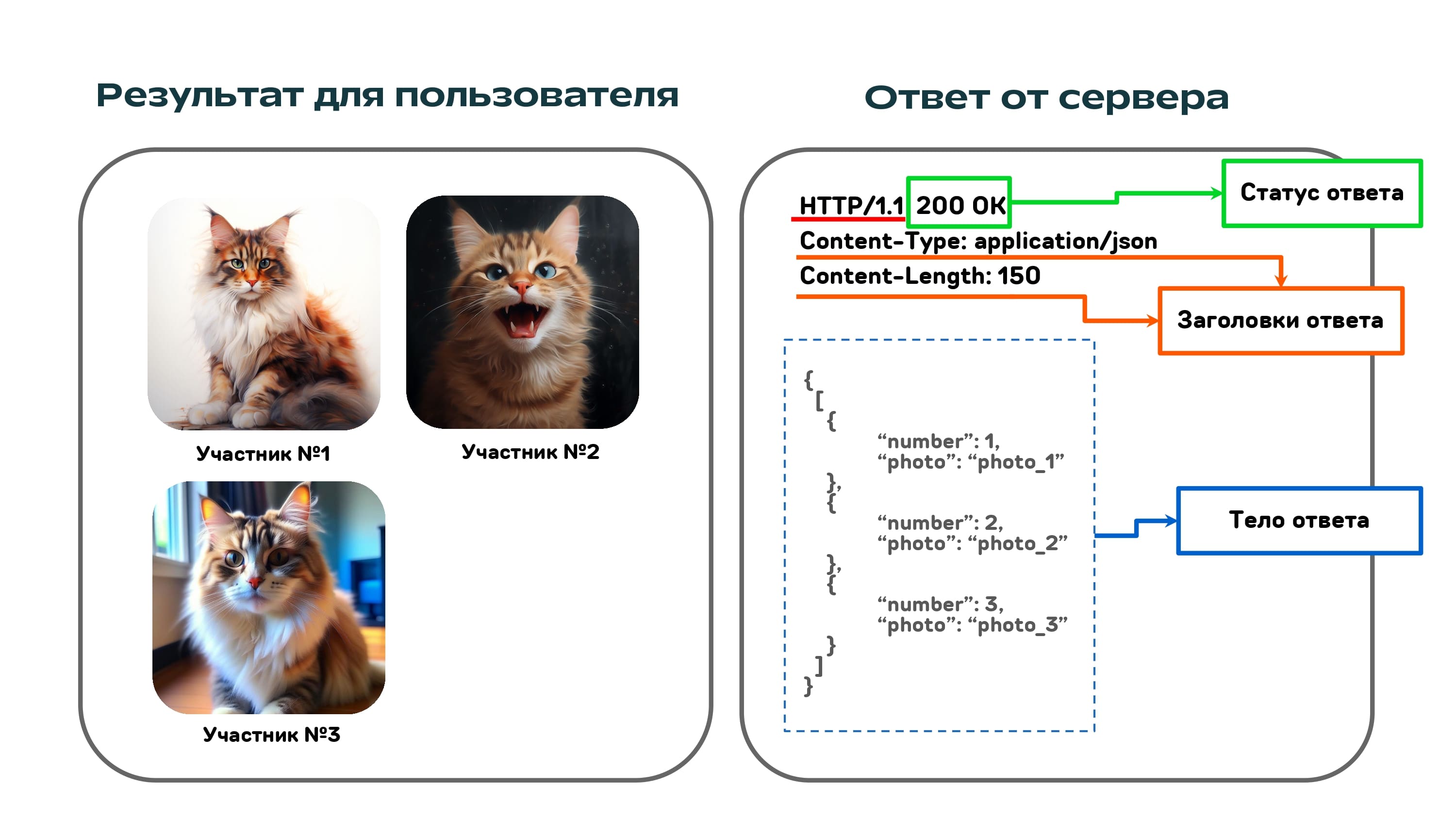 REST API на котиках - 6