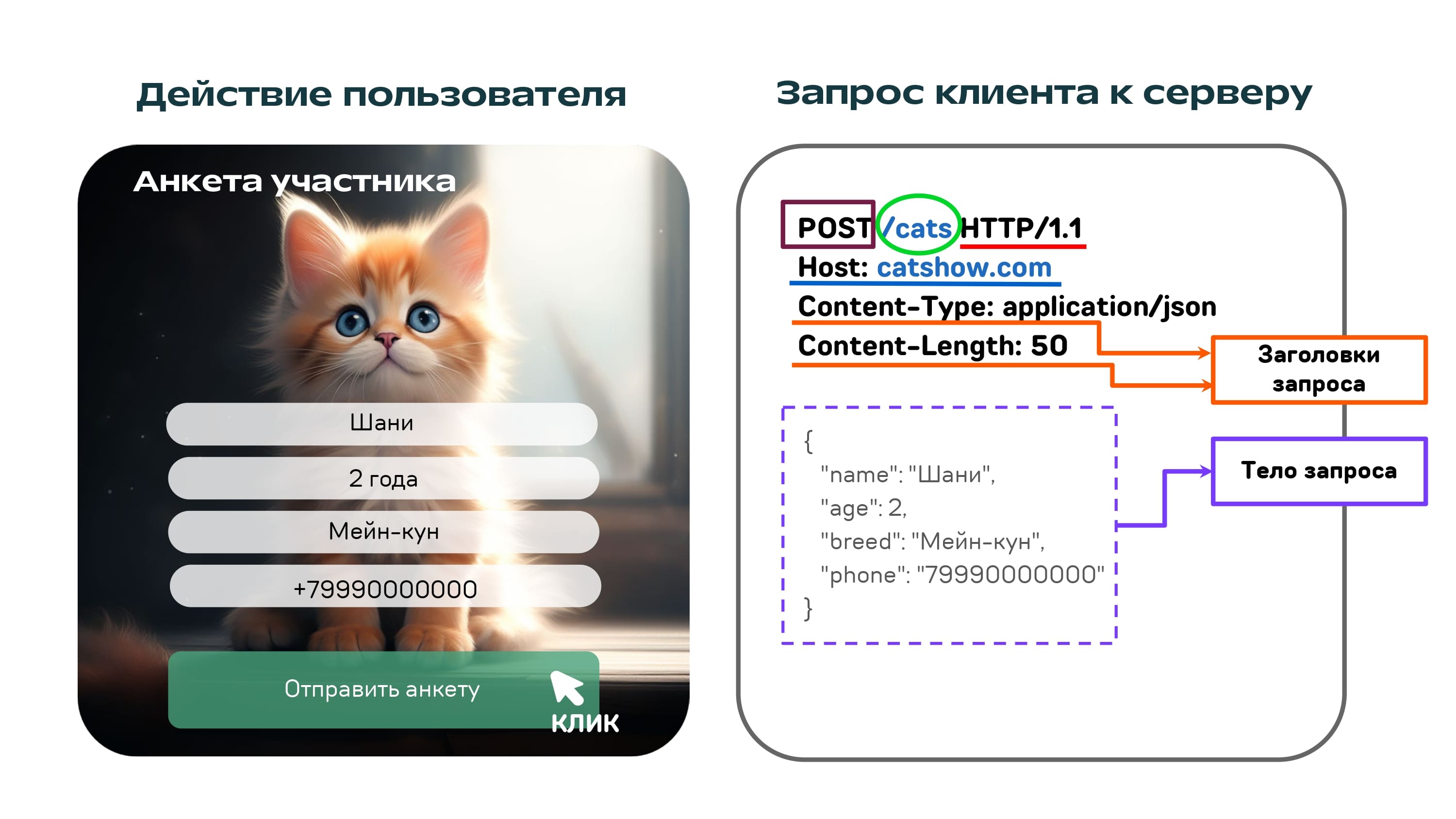 REST API на котиках - 7