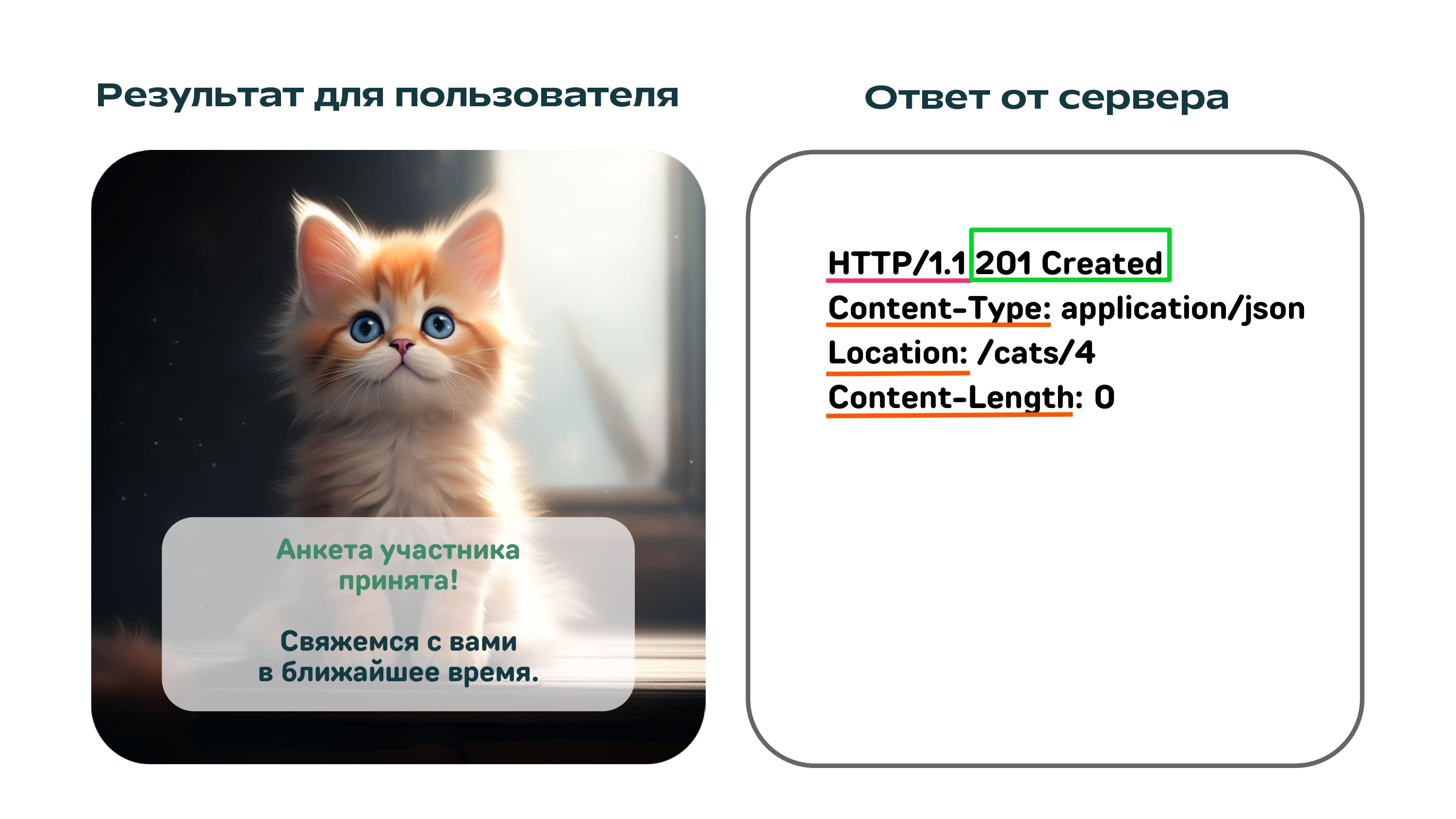 REST API на котиках - 8