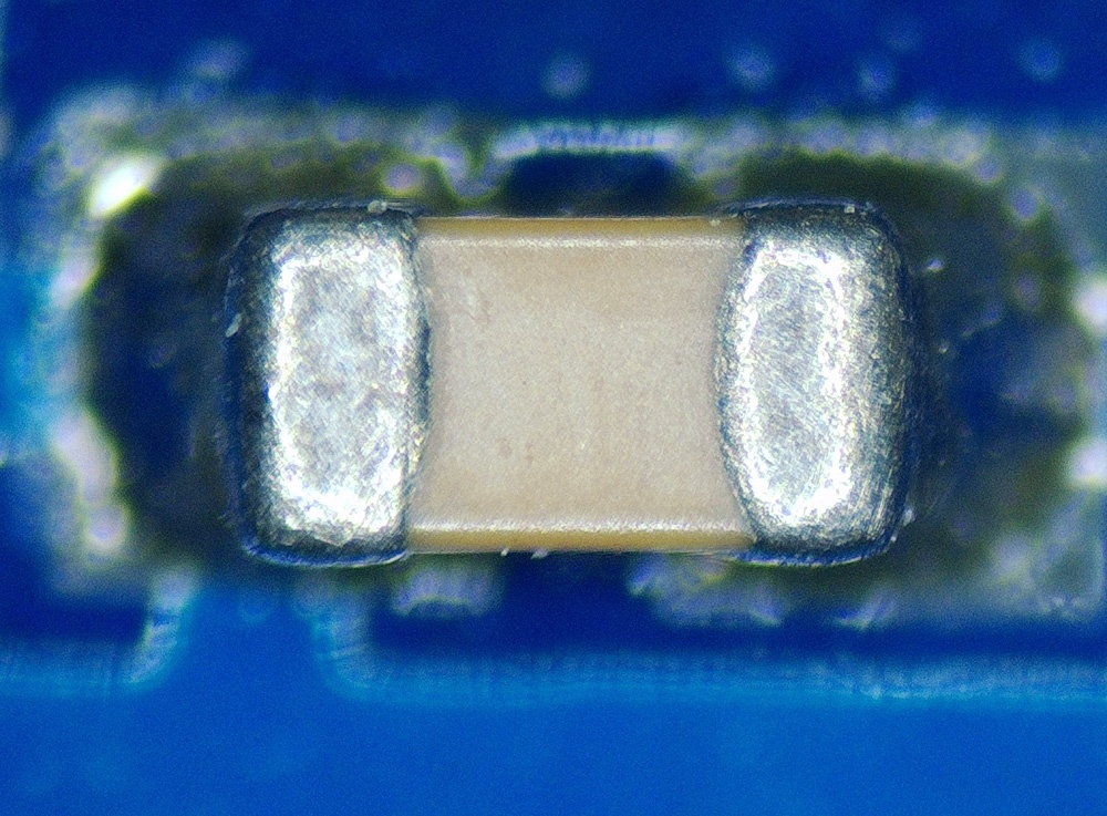 Моё лучшее вложение 13 тыс. рублей (какой ботаник без микроскопа?) - 20 Моё лучшее вложение 13 тыс. рублей (какой ботаник без микроскопа?) - 20