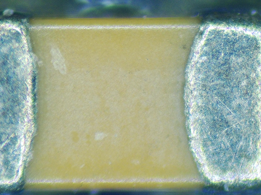 Моё лучшее вложение 13 тыс. рублей (какой ботаник без микроскопа?) - 21 Моё лучшее вложение 13 тыс. рублей (какой ботаник без микроскопа?) - 21