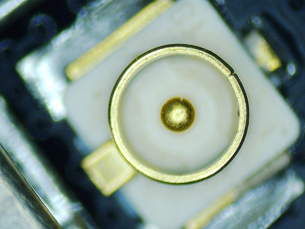 Моё лучшее вложение 13 тыс. рублей (какой ботаник без микроскопа?) - 25 Моё лучшее вложение 13 тыс. рублей (какой ботаник без микроскопа?) - 25