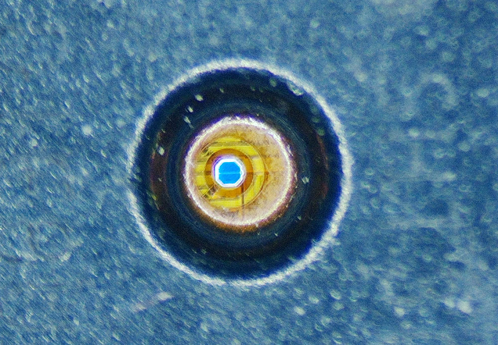 Моё лучшее вложение 13 тыс. рублей (какой ботаник без микроскопа?) - 30 Моё лучшее вложение 13 тыс. рублей (какой ботаник без микроскопа?) - 30