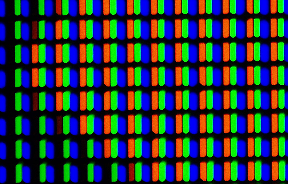 Моё лучшее вложение 13 тыс. рублей (какой ботаник без микроскопа?) - 38 Моё лучшее вложение 13 тыс. рублей (какой ботаник без микроскопа?) - 38