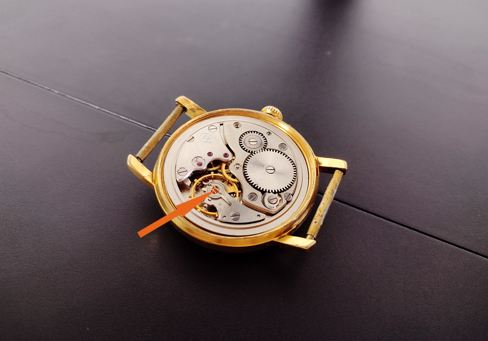 Моё лучшее вложение 13 тыс. рублей (какой ботаник без микроскопа?) - 39 Моё лучшее вложение 13 тыс. рублей (какой ботаник без микроскопа?) - 39