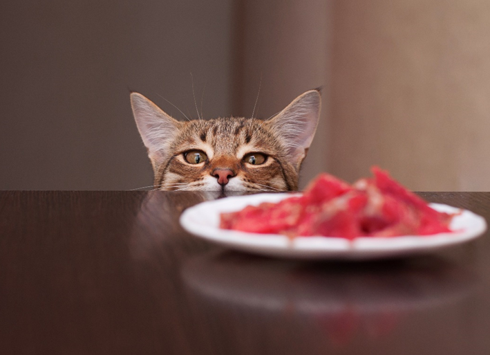 Требования безопасности: пособие для аналитика - 4 Требования безопасности: пособие для аналитика - 4