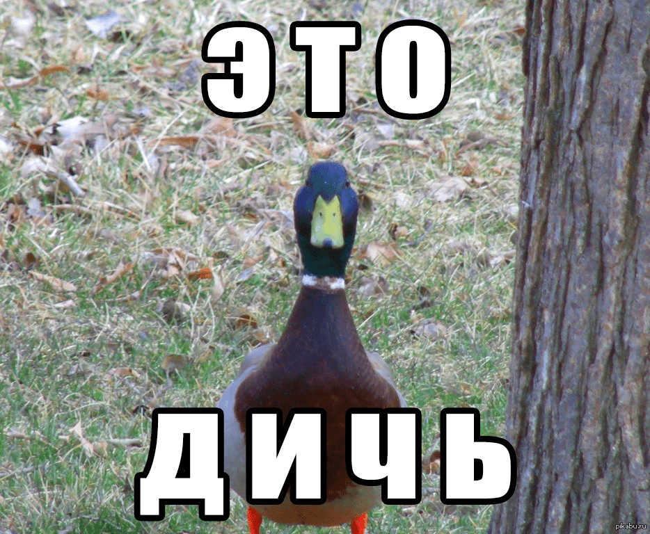 Мне показалось это перспективным, и мы стартовали. Мне показалось это перспективным, и мы стартовали.