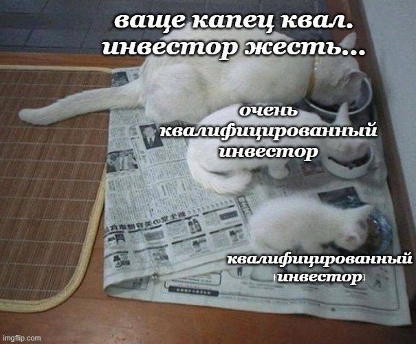 Что там с Дуровым и почему он кот, а также тайна самой прибыльной компании в России - 8 Что там с Дуровым и почему он кот, а также тайна самой прибыльной компании в России - 8