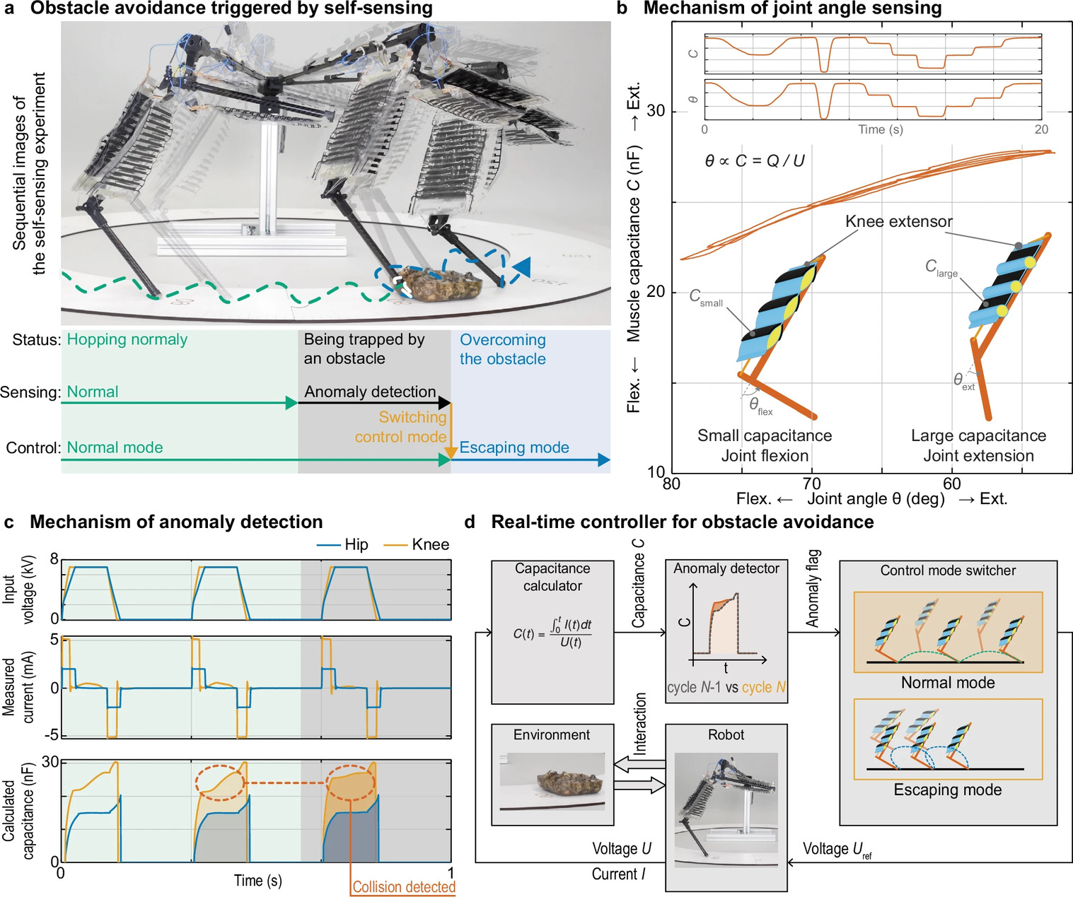 Кошачья грация: искусственные мышцы для роботизированных ног - 7 Кошачья грация: искусственные мышцы для роботизированных ног - 7