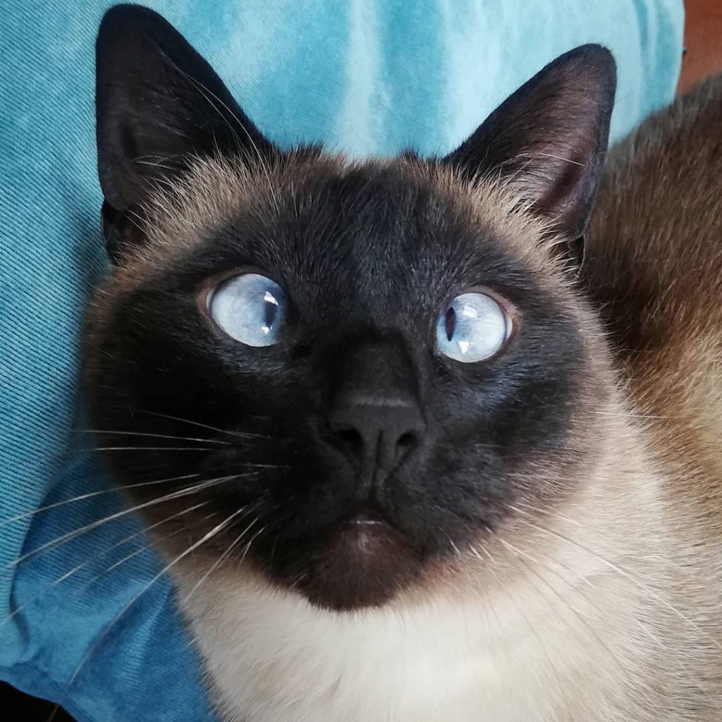 Любительская стереосъёмка - 20 Любительская стереосъёмка - 20