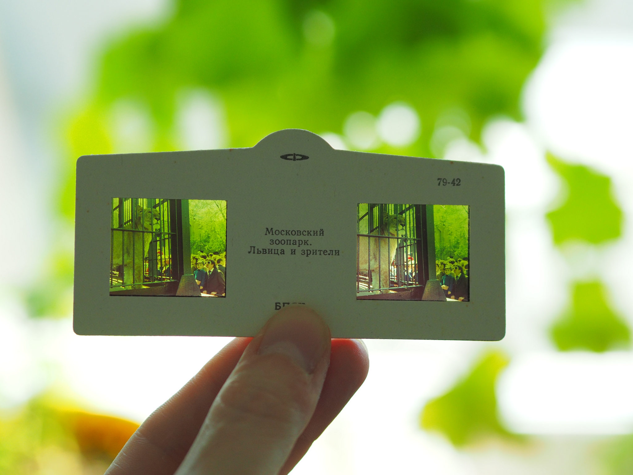 Любительская стереосъёмка - 3 Любительская стереосъёмка - 3