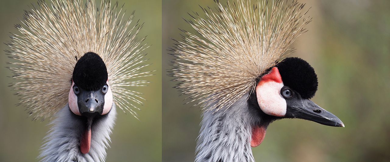 Любительская стереосъёмка - 4 Любительская стереосъёмка - 4