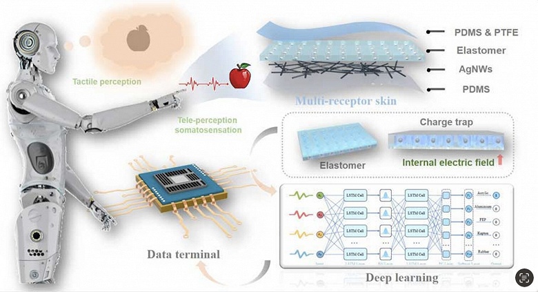 Ученые создали искусственную кожу, вдохновлённую сенсорными способностями утконоса - 2 Ученые создали искусственную кожу, вдохновлённую сенсорными способностями утконоса